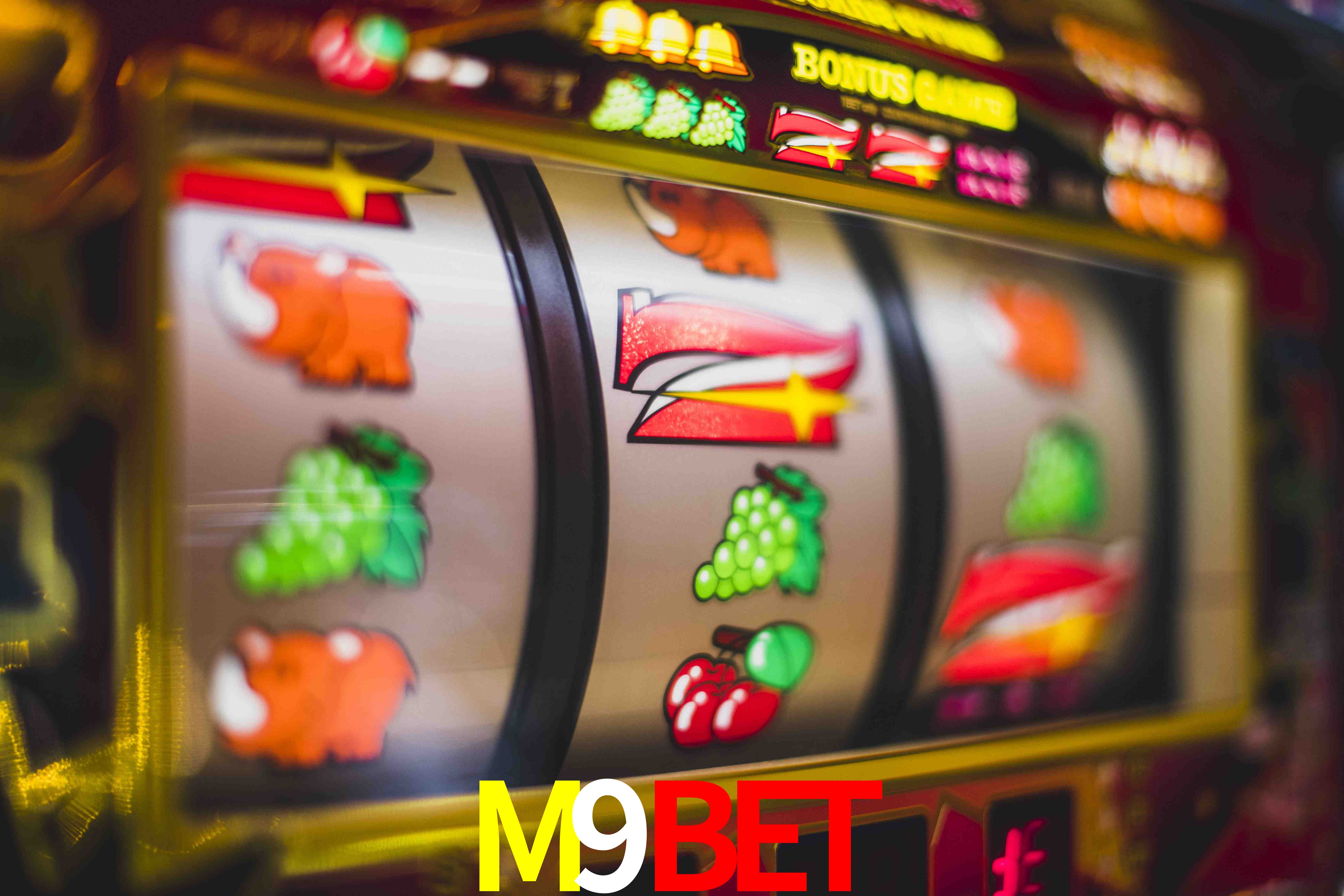 Experiência VIP M9BET