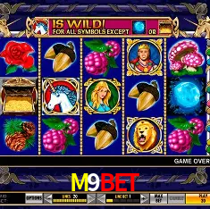 M9BET Cassino - 80+ Mesas ao Vivo